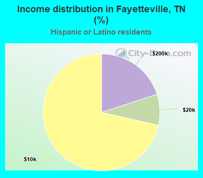 Income distribution in Fayetteville, TN (%)