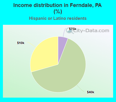 Income distribution in Ferndale, PA (%)