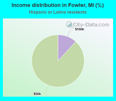 Income distribution in Fowler, MI (%)