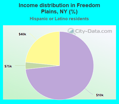 Income distribution in Freedom Plains, NY (%)