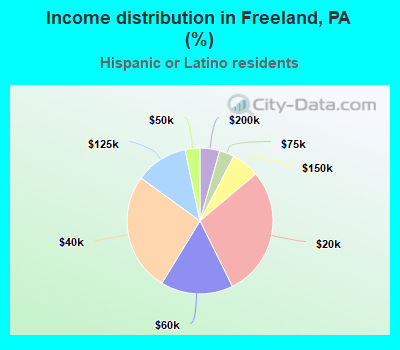 Income distribution in Freeland, PA (%)