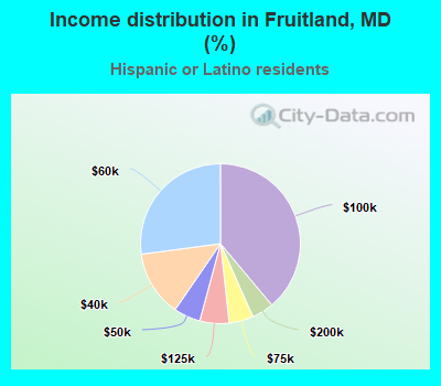 Income distribution in Fruitland, MD (%)