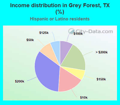 Income distribution in Grey Forest, TX (%)