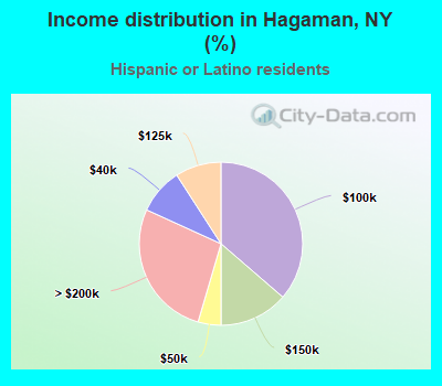 Income distribution in Hagaman, NY (%)