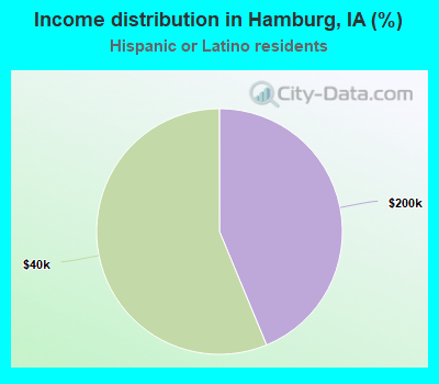 Income distribution in Hamburg, IA (%)