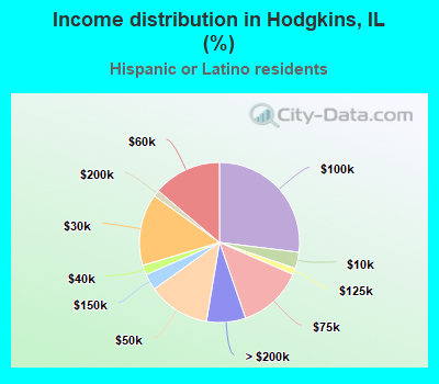 Income distribution in Hodgkins, IL (%)