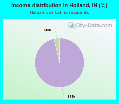 Income distribution in Holland, IN (%)