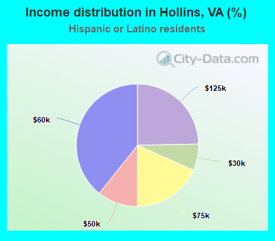 Income distribution in Hollins, VA (%)