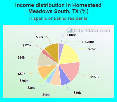 Income distribution in Homestead Meadows South, TX (%)
