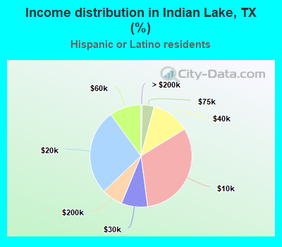 Income distribution in Indian Lake, TX (%)