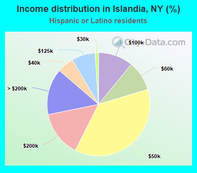 Income distribution in Islandia, NY (%)