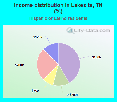 Income distribution in Lakesite, TN (%)
