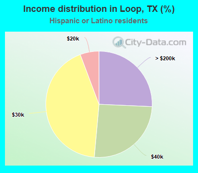 Income distribution in Loop, TX (%)