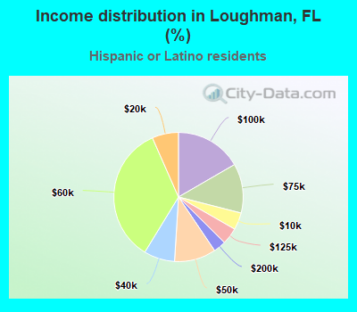 Income distribution in Loughman, FL (%)