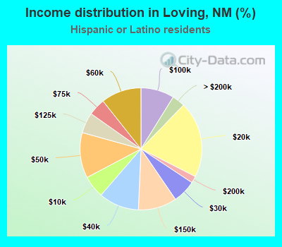 Income distribution in Loving, NM (%)