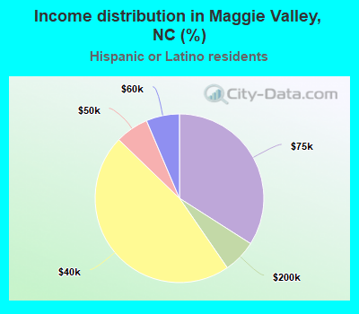 Income distribution in Maggie Valley, NC (%)