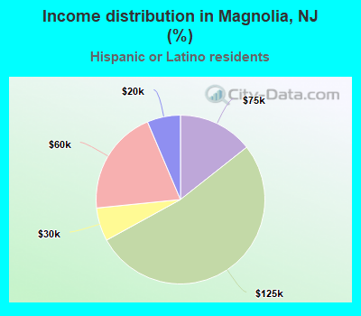 Income distribution in Magnolia, NJ (%)