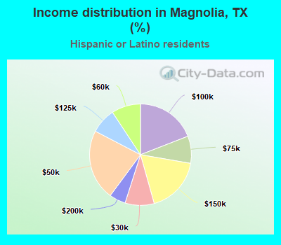 Income distribution in Magnolia, TX (%)