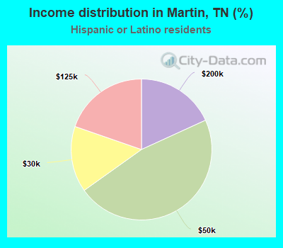 Income distribution in Martin, TN (%)