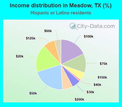Income distribution in Meadow, TX (%)