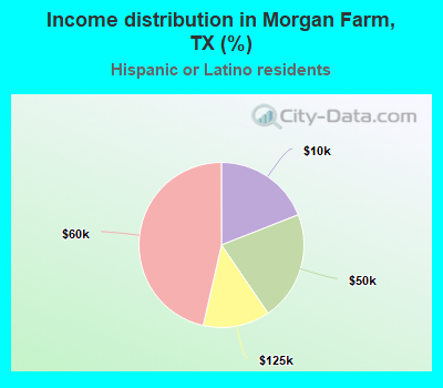 Income distribution in Morgan Farm, TX (%)
