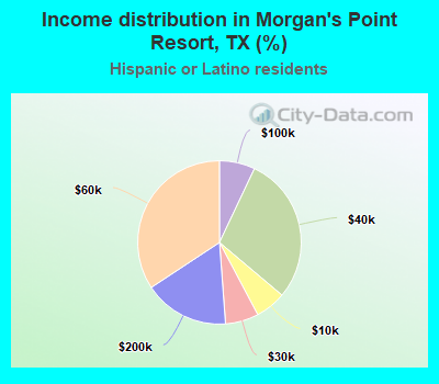 Income distribution in Morgan's Point Resort, TX (%)