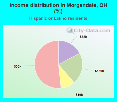 Income distribution in Morgandale, OH (%)