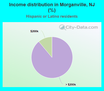 Income distribution in Morganville, NJ (%)