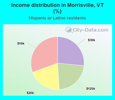 Income distribution in Morrisville, VT (%)