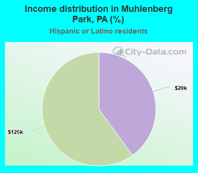Income distribution in Muhlenberg Park, PA (%)