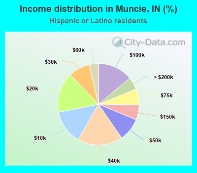 Income distribution in Muncie, IN (%)