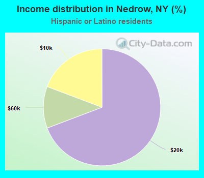 Income distribution in Nedrow, NY (%)