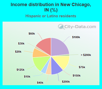 Income distribution in New Chicago, IN (%)