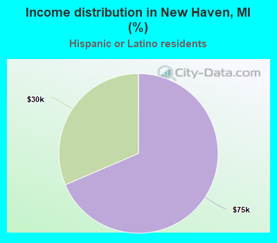 Income distribution in New Haven, MI (%)