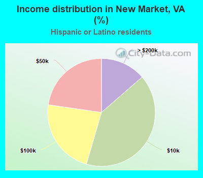 Income distribution in New Market, VA (%)