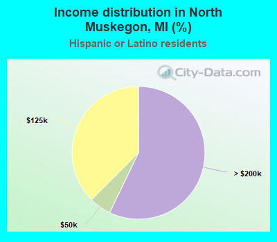 Income distribution in North Muskegon, MI (%)