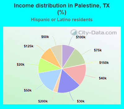 Income distribution in Palestine, TX (%)