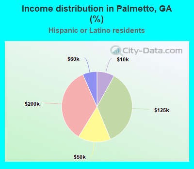 Income distribution in Palmetto, GA (%)