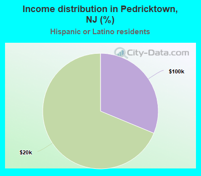 Income distribution in Pedricktown, NJ (%)