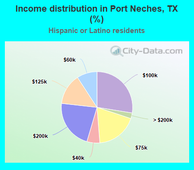 Income distribution in Port Neches, TX (%)