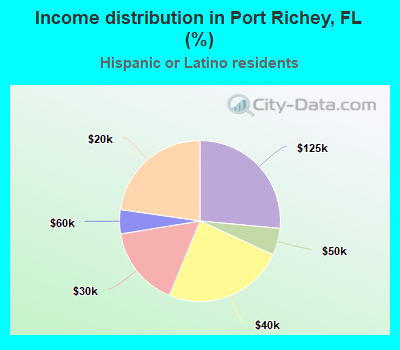 Income distribution in Port Richey, FL (%)