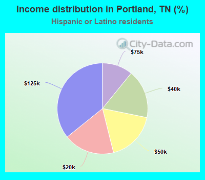 Income distribution in Portland, TN (%)