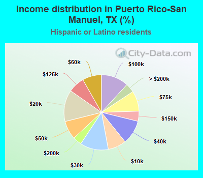Income distribution in Puerto Rico-San Manuel, TX (%)