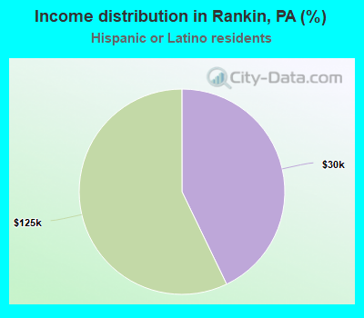 Income distribution in Rankin, PA (%)