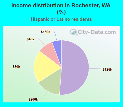 Income distribution in Rochester, WA (%)