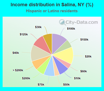 Income distribution in Salina, NY (%)