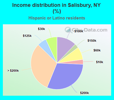 Income distribution in Salisbury, NY (%)