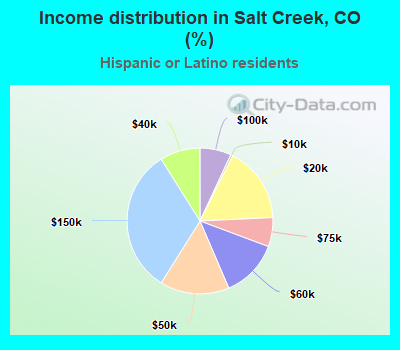 Income distribution in Salt Creek, CO (%)