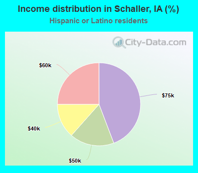 Income distribution in Schaller, IA (%)