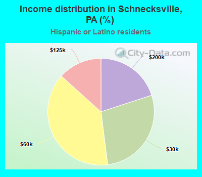 Income distribution in Schnecksville, PA (%)